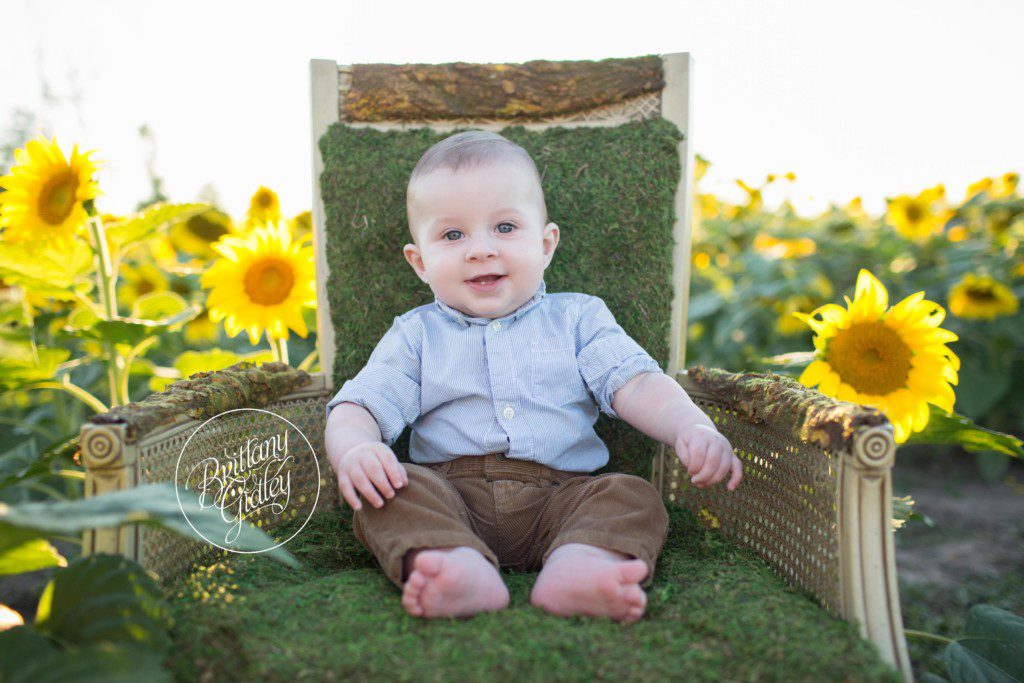 Prayers From Maria Sunflower Field | Family | Sunflower Field | Photo Shoot | Avon Sunflower Field