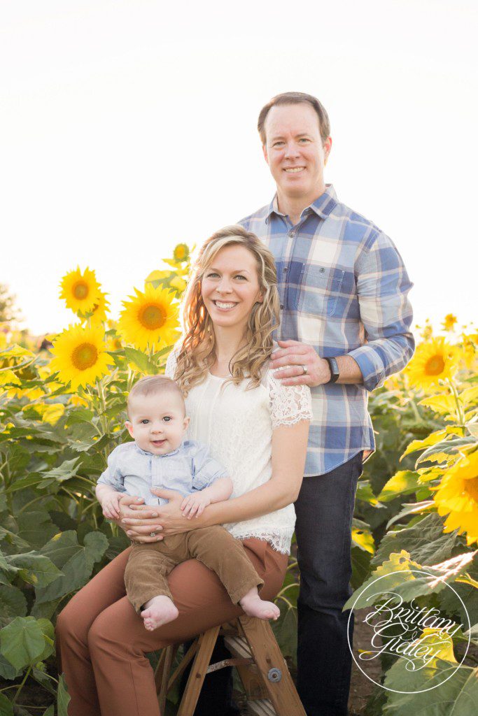 Prayers From Maria Sunflower Field | Family | Sunflower Field | Photo Shoot | Avon Sunflower Field