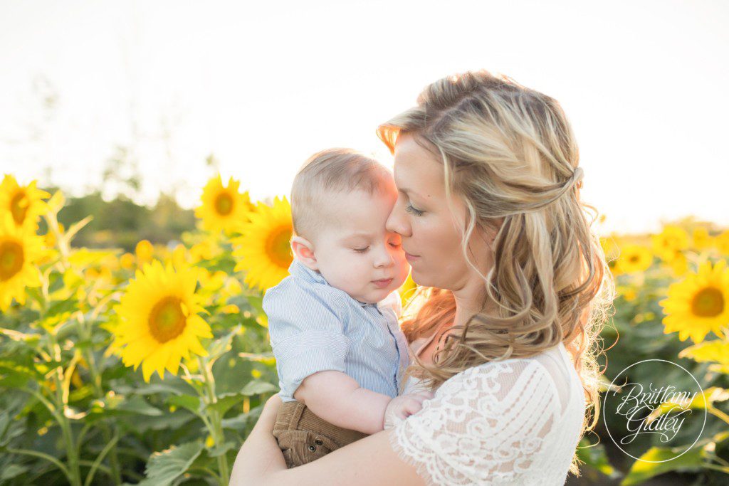 Prayers From Maria Sunflowers | Family | Sunflower Field | Photo Shoot | Avon Sunflower Field