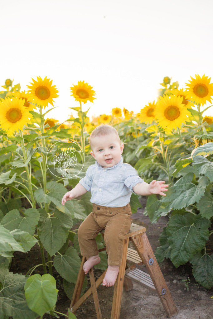 Prayers From Maria Sunflowers | Family | Sunflower Field | Photo Shoot | Avon Sunflower Field