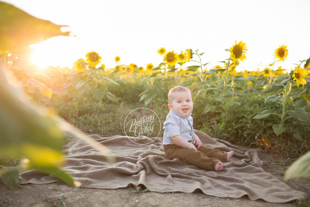 Prayers From Maria Sunflowers | Family | Sunflower Field | Photo Shoot | Avon Sunflower Field