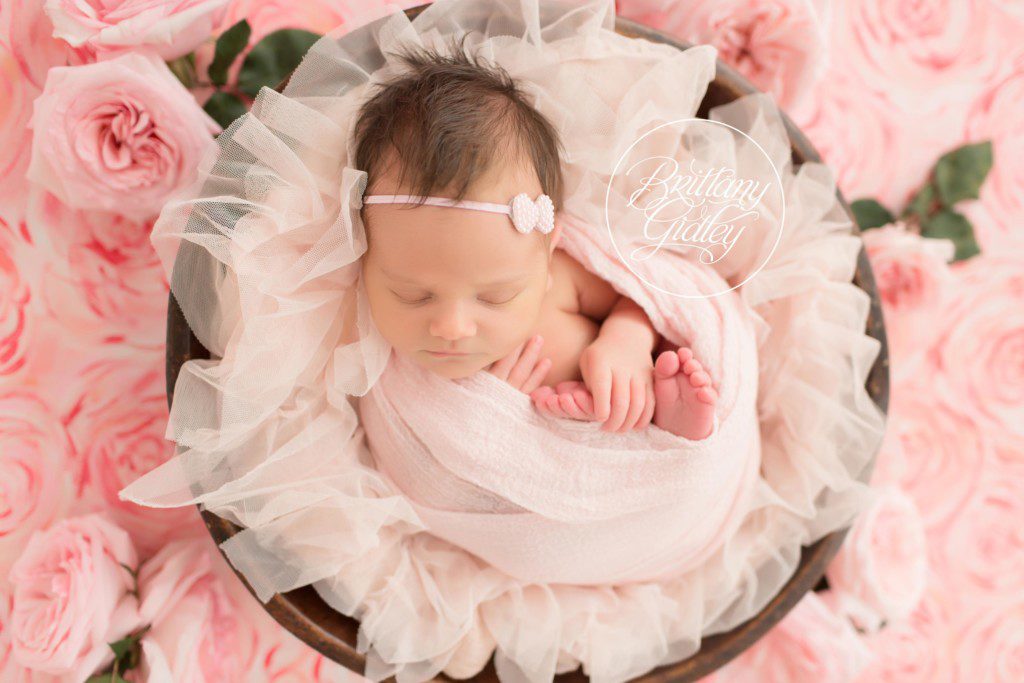 Newborn Dream Session | HeatherLily Florals | Newborn Photographer | Newborn Photography | Dream Photographer
