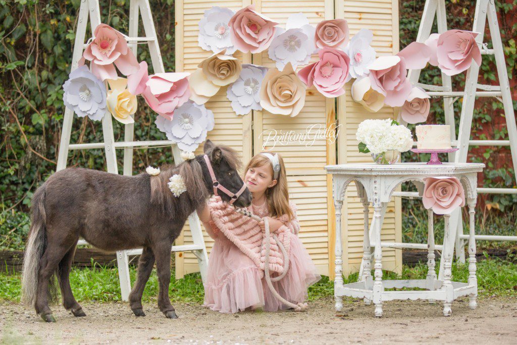 Pony Farm | Paper Flowers | Ponies | Equine Photography | Cleveland | Start With The Best | Dream Session | Photo Shoot