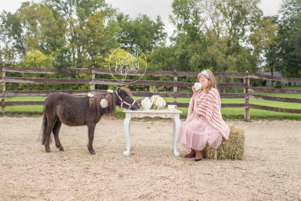 Tea Party With Pony | Pony Farm | Paper Flowers | Ponies | Equine Photography | Cleveland | Start With The Best | Dream Session | Photo Shoot