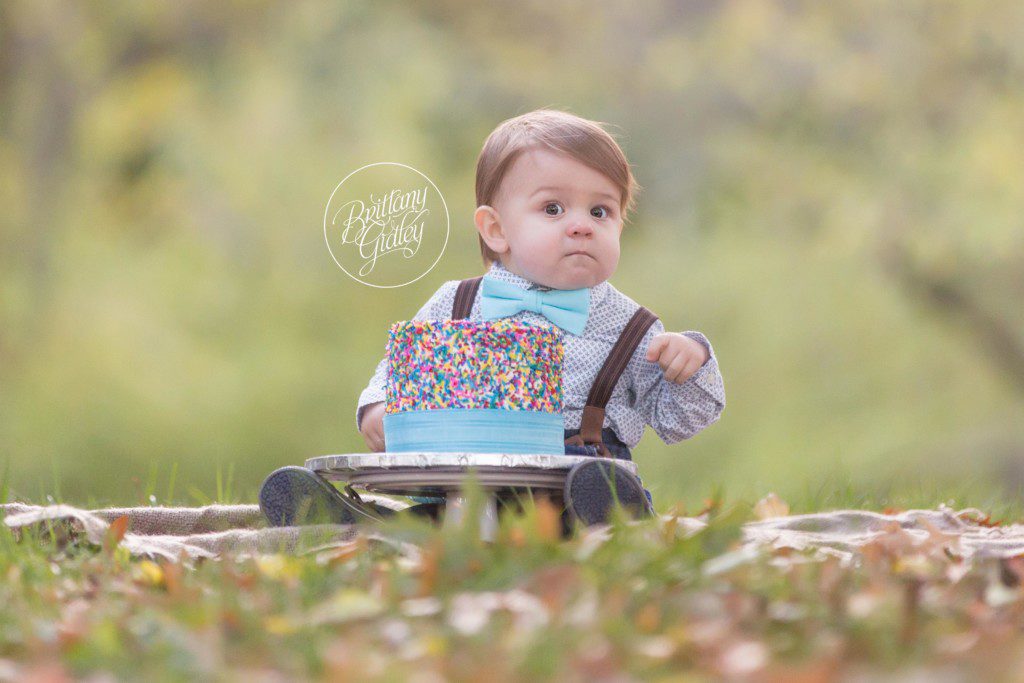 12 Month Milestone | Baby Photographer | Baby Photography | Cleveland Museum of Art