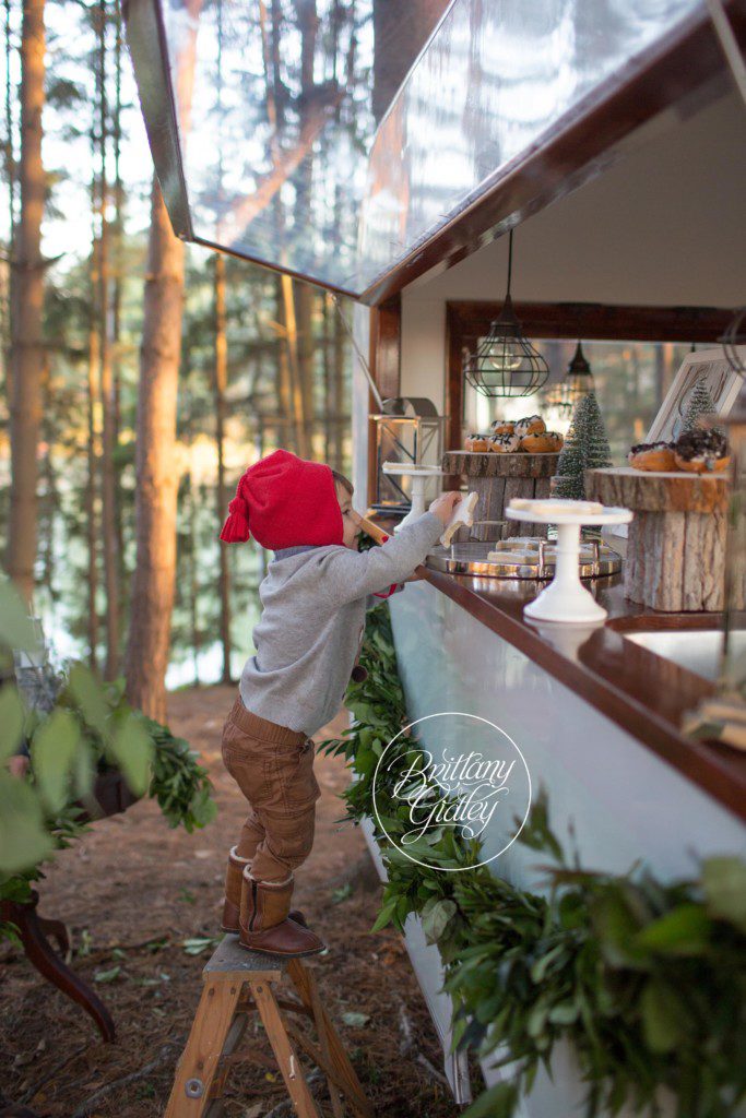 Dream Mini Sessions | Photography | Christmas Mini Sessions | Holiday Mini Sessions| Christmas Card Inspiration | Cleveland | Mini Session Inspiration | www.brittanygidley.com