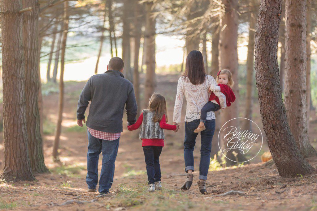 Celebrity Photographer | Dream Sessions | Brittany Gidley Photography 