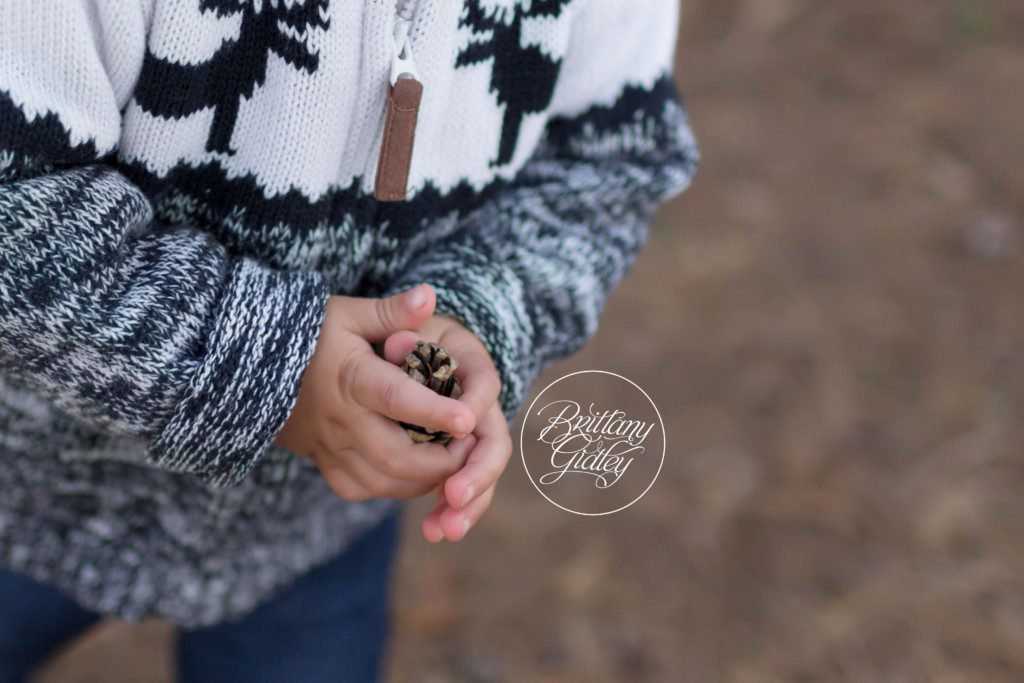 Dream Mini Session | Pinecone | Winter Wonderland