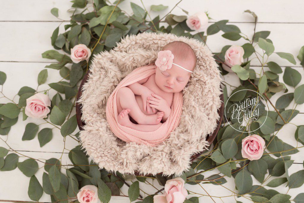 Newborn Studio | Start With The Best | Cleveland