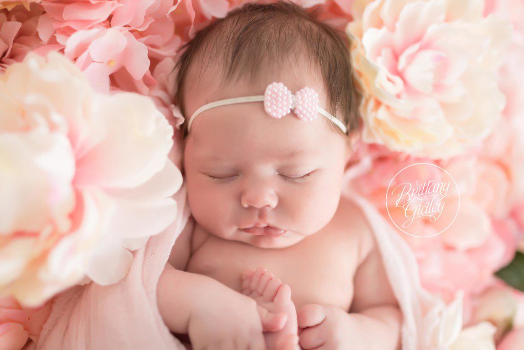 Flower Wall | Newborn Baby Girl | Cleveland