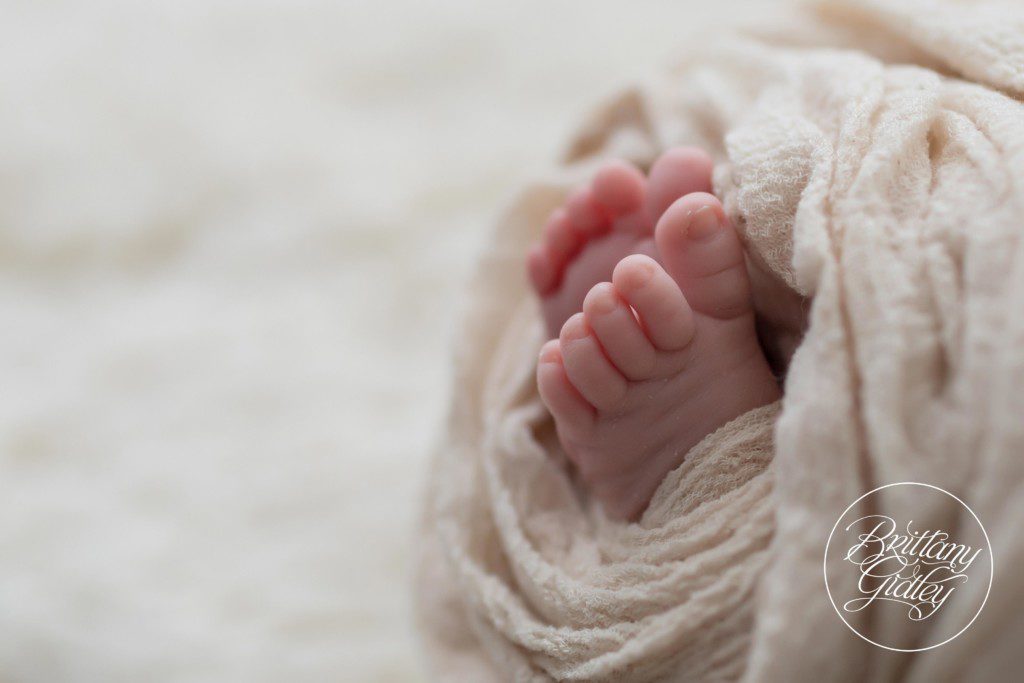 Newborn Posing | Best Newborn Photos | Start With The Best | Brittany Gidley Photography LLC