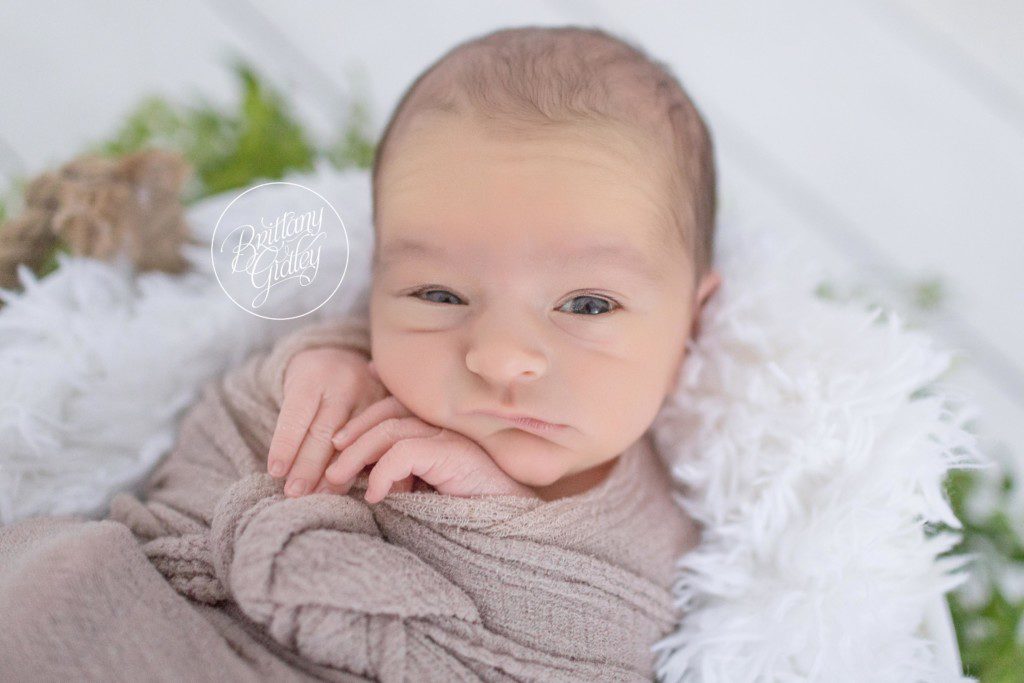 Newborn Photographer | Baby Brother | Child Photographer