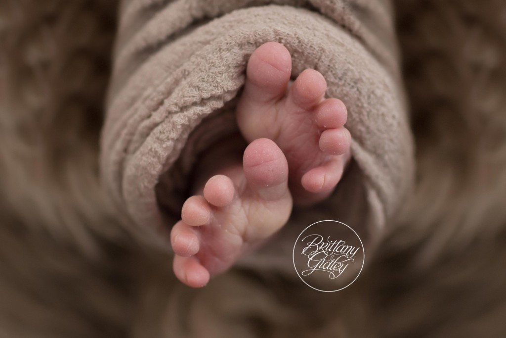 Newborn Photos | Newborn Photography | Brittany Gidley Photography