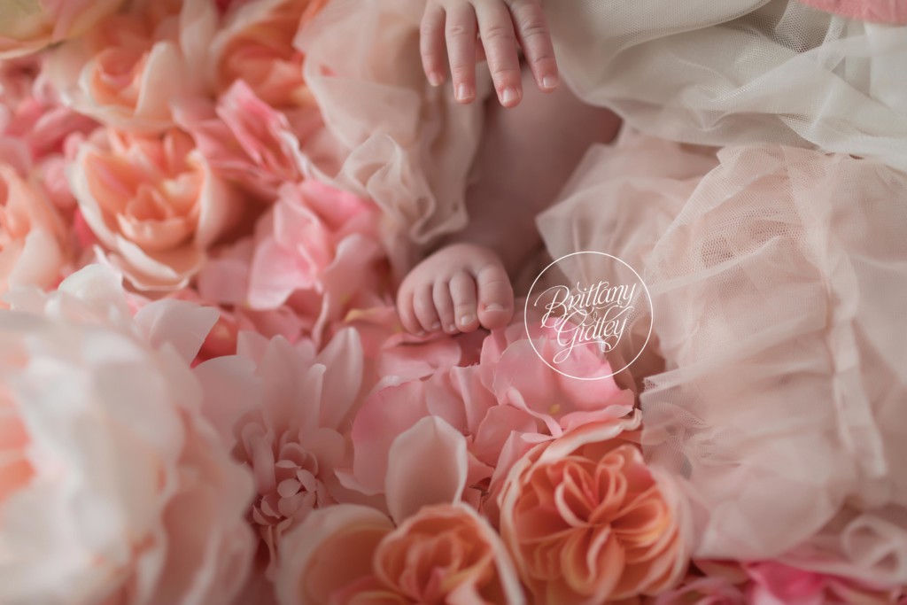 6 Month Baby Photos | Baby Photographer | Cleveland Ohio | Start With The Best | Flower Wall | Floral Baby Images
