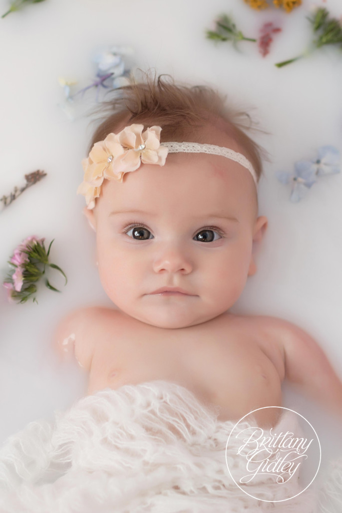 Milk Bath Dream Session | Baby Milk Bath | Wildflowers | Start With The Best | Cleveland | Brittany Gidley Photography LLC