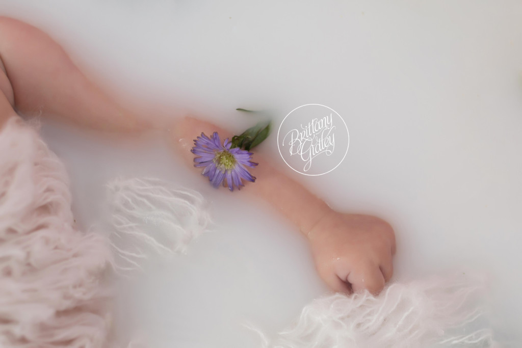 Milk Bath Dream Session | Bath Milk Baby | Wildflowers | Start With The Best | Cleveland | Brittany Gidley Photography LLC