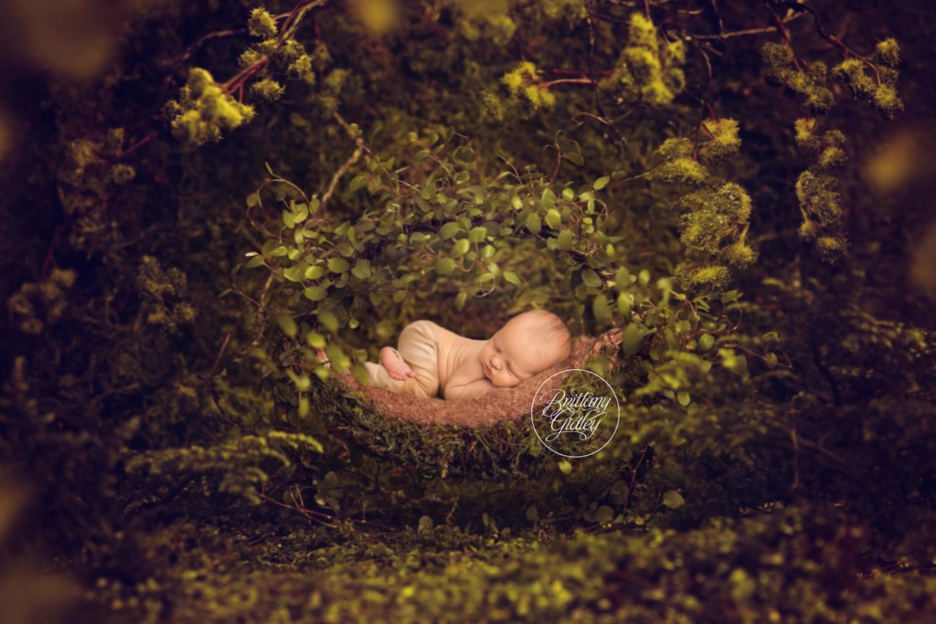 Baby Photographer | Composite Newborn | Start With The Best | Brittany Gidley | www.brittanygidley.com