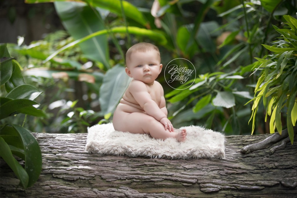 Cleveland Baby Photographer | Baby Photography | 6 Month Baby | Garden Baby Photography | 6 Months Old