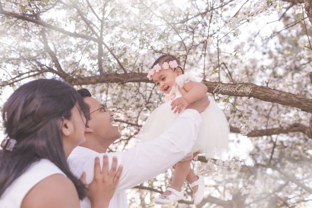 Cherry Blossoms | Cleveland Museum of Art | 12 Month Baby