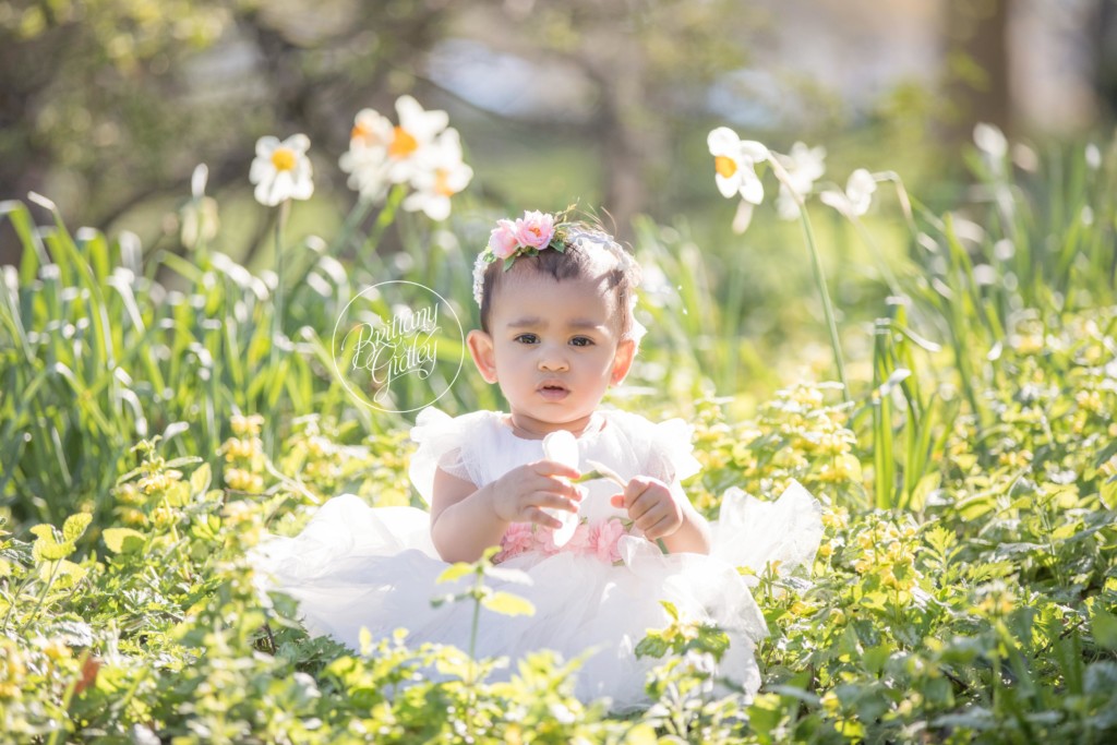 Cherry Blossoms | Cleveland Museum of Art | 12 Month Baby