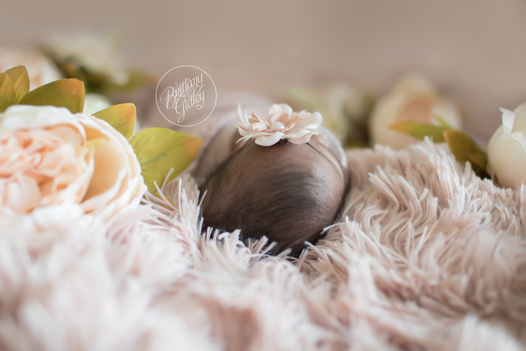 NICU Photographer | Photography Preemie Babies | NICU Images