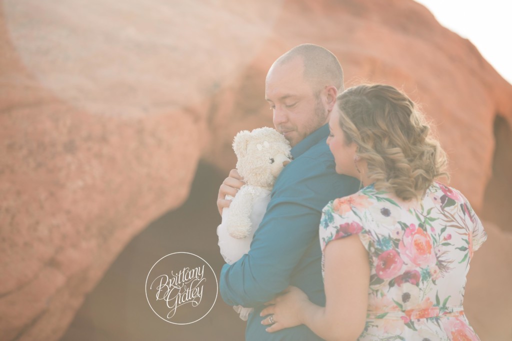 Las Vegas Family Photographer | Valley of Fire | Travel Photography | Molly Bear | Brittany Gidley Photography LLC