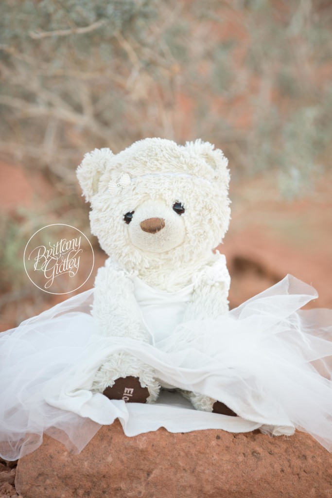 Las Vegas Photographer | Valley of Fire | Travel Photography | Molly Bear | Brittany Gidley Photography LLC