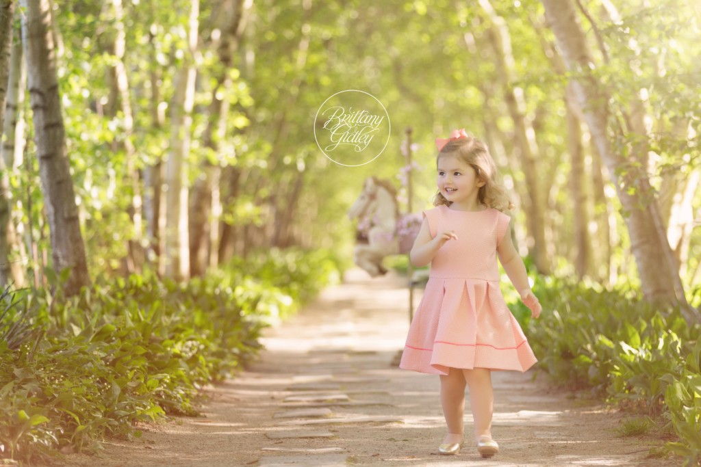 Plane Tree Allee | Stan Hywet Photography | Akron Ohio | Brittany Gidley Photography LLC