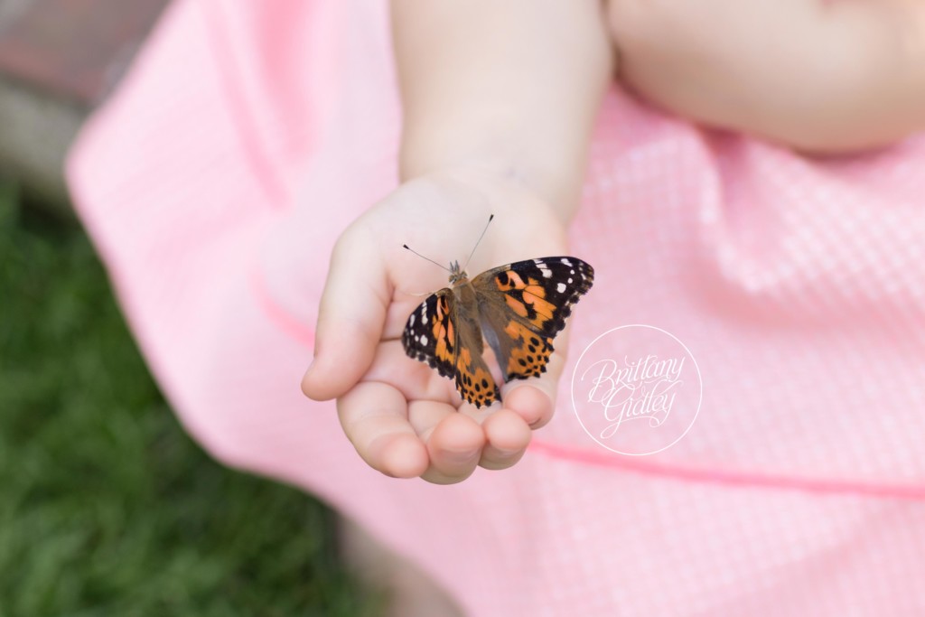 Secret Garden | Butterfly Release | Butterfly Photography | Dream Session | Brittany Gidley Photography | Stan Hywet Hall & Gardens