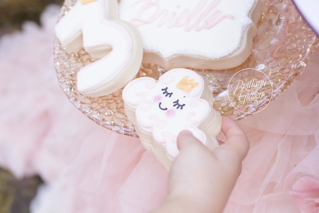 Cloud Cookies | Itty Bitty Bake Shop Cleveland