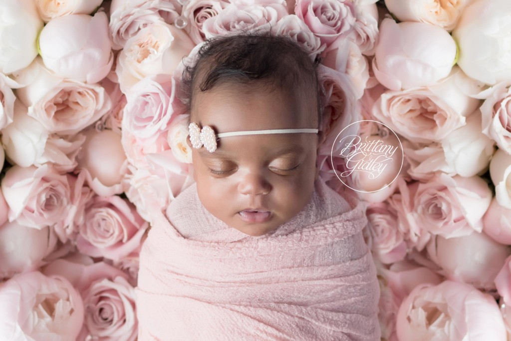 Heatherlily Florals | Fresh Floral Newborn | Dakota Strong | Start With The Best | Dream Session | www.brittanygileyphotography.com