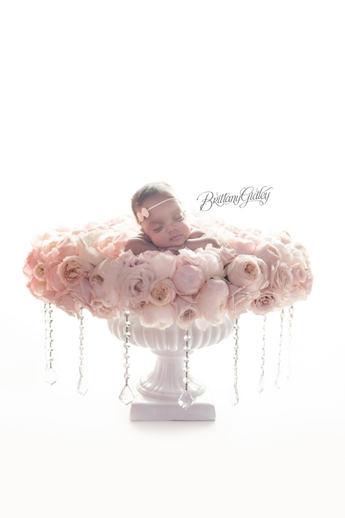 Celebrity Newborn Photographer | HeatherLily Florals | Start With The Best | Dream Session | www.brittanygileyphotography.com