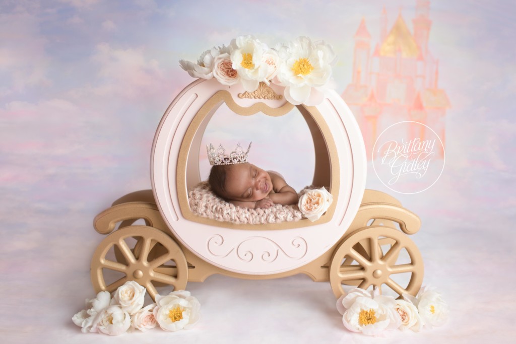 Cinderella Newborn | Start With The Best | Dream Session | www.brittanygileyphotography.com