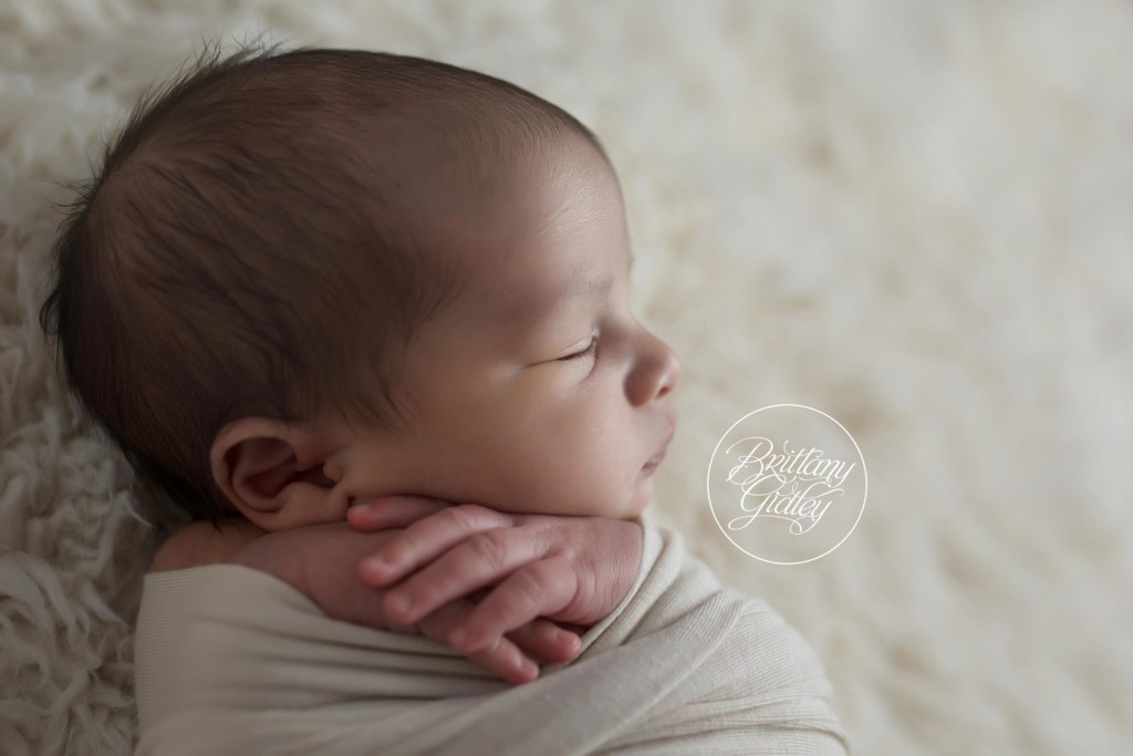 Newborn Photography | Newborn Posing Inspiration | Newborn Editing Tips | Brittany Gidley Photography LLC