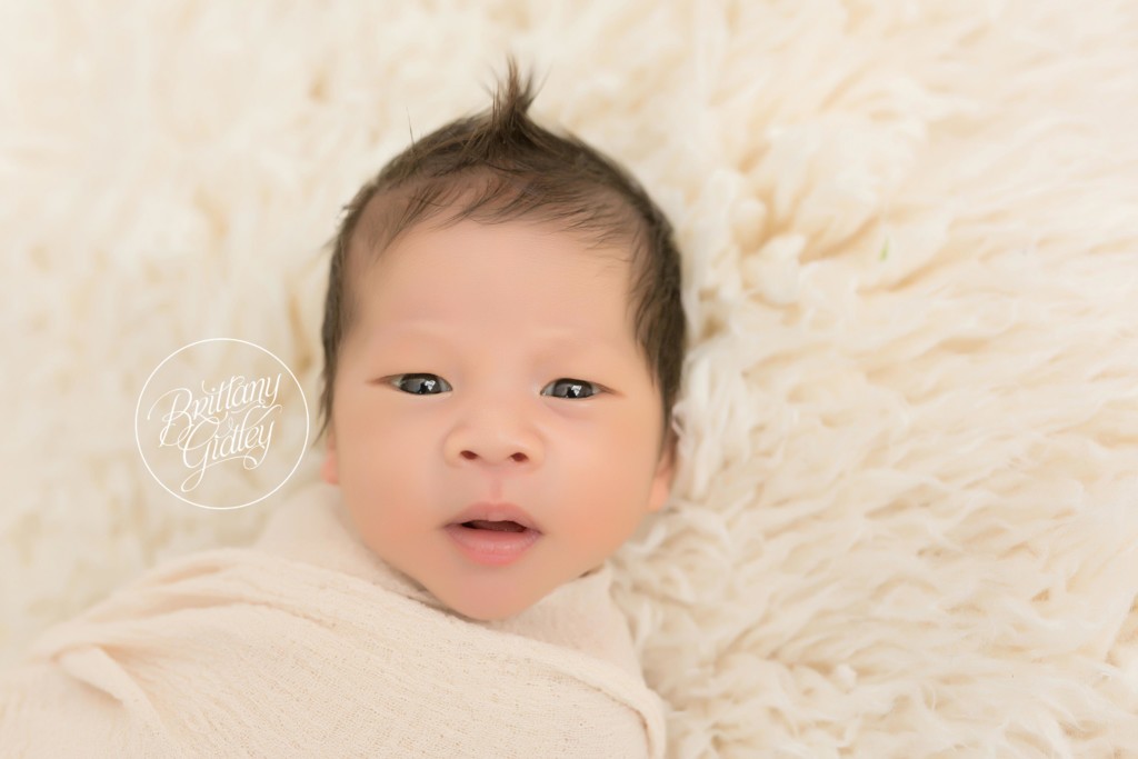 Cleveland Baby Photographer | Newborn Posing | Big Sister Newborn Boy Photos