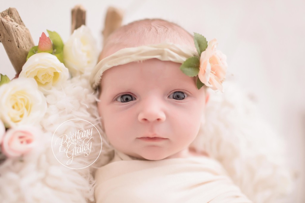 Newborn Girl Inspiration | Start With The Best | Brittany Gidley Photography Cleveland Ohio | Celebrity Newborn Photographer