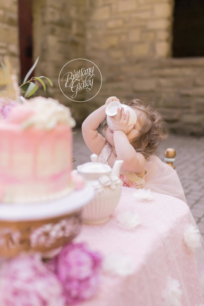 Tea Party Dream Session Princess | Photo Shoot | Dream Session | Brittany Gidley Photography | Squires Castle Ohio