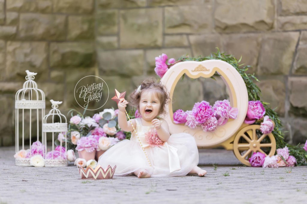 Princess Dream Session | Photo Shoot | Dream Session | Brittany Gidley Photography | Squires Castle Ohio