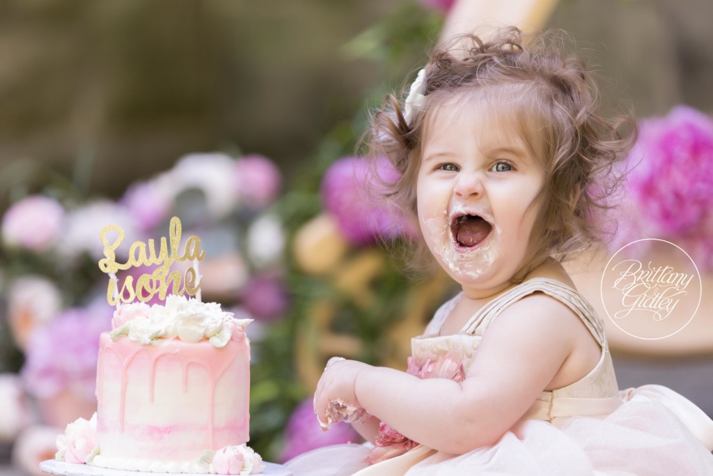 Cake Smash Dream Session Princess | Photo Shoot | Dream Session | Brittany Gidley Photography | Squires Castle Ohio