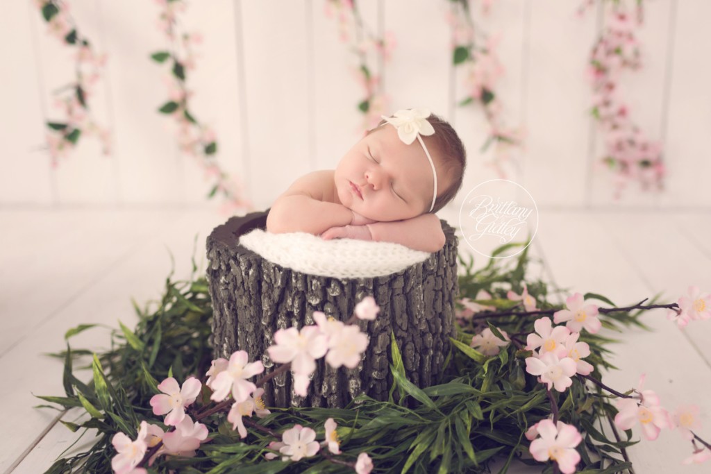 Celebrity Newborn Photographer | Newborn Baby Girl | Pretty In Pink | Brittany Gidley Photography | www.brittanygidleyphotography.com