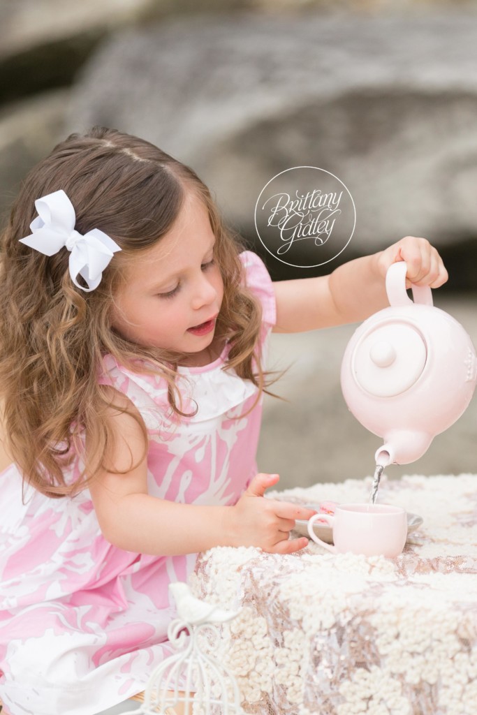 Toddler Photographer | Toddler Photography | 2 Years Old | Lake Erie Family Session | Start With The Best | Brittany Gidley Photography LLC