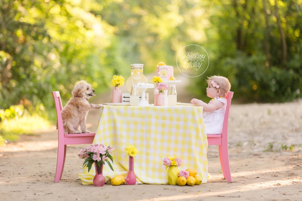 You Are My Sunshine | Dream Session | Photo Shoot | First Birthday