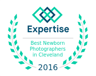 Logo for Expertise 2016