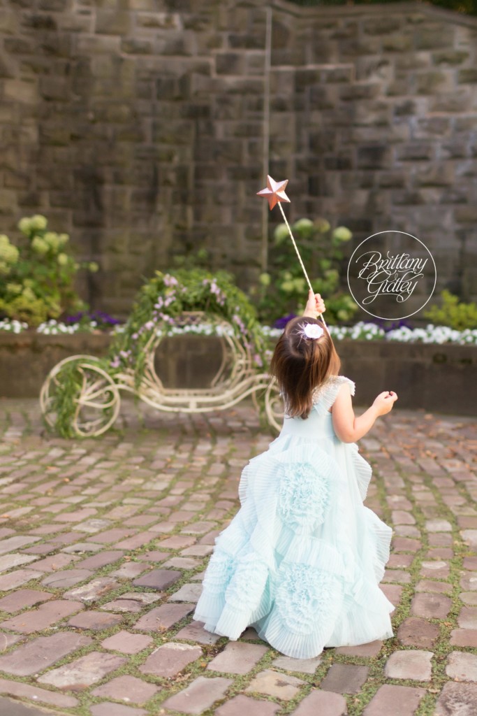 Whimsical Photo Shoot Ideas | Princess Birthday | Two Year Old Princess Photo Shoot