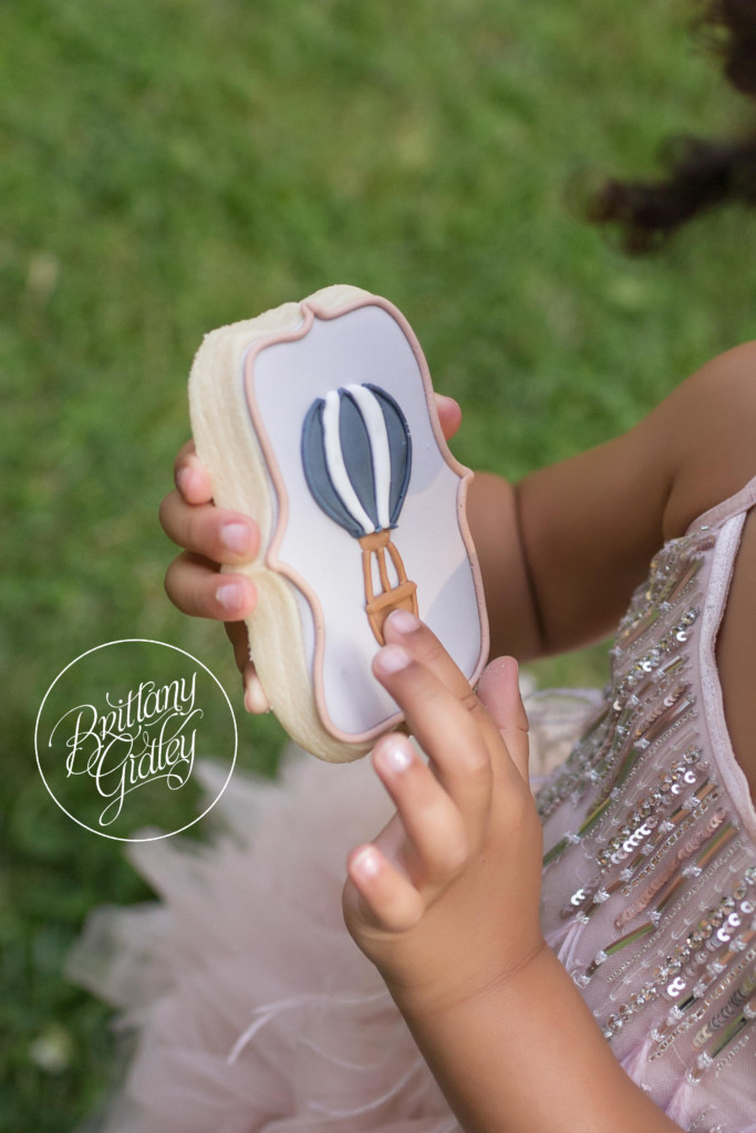 Hot Air Balloon Cookies | Photo Shoot | Dream Session | Vintage Travel Theme Photo Shoot