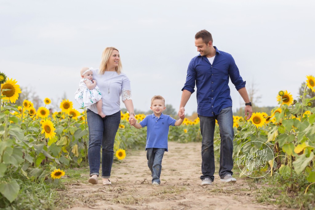 Avon Family Photographer | Prayers From Maria Sunflower Field | Magical Family Photography | Sunflower Pictures Avon Ohio