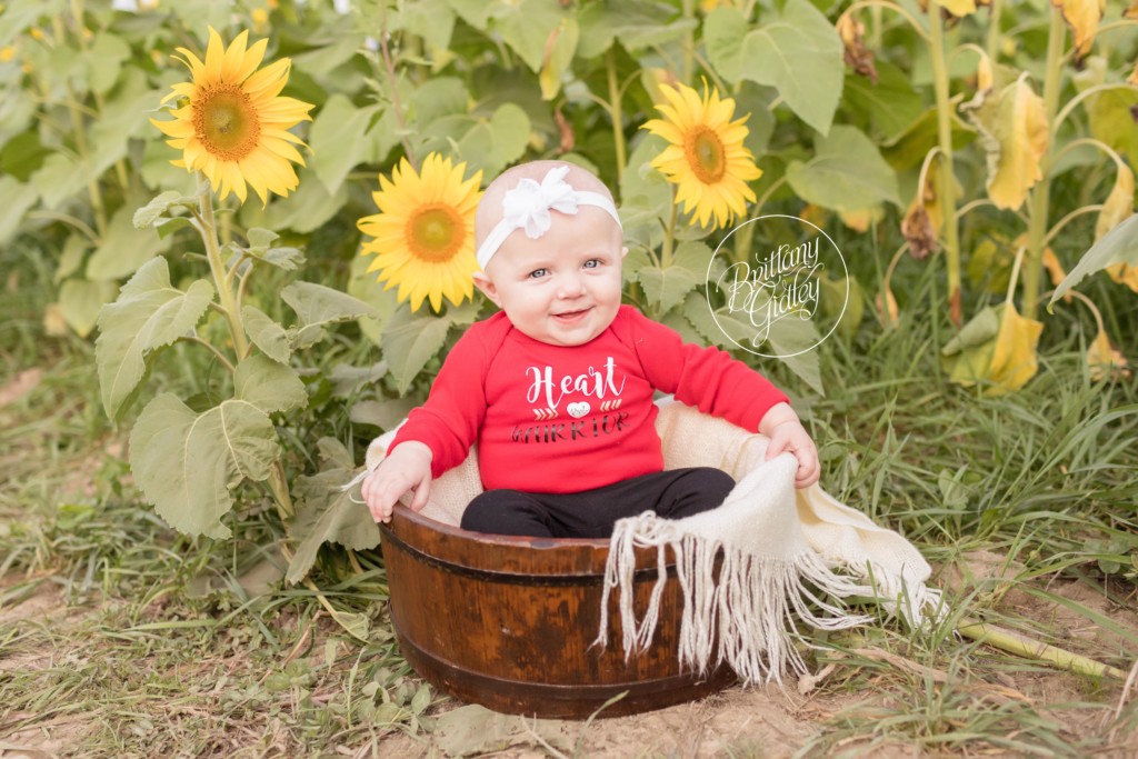 Avon Baby Photographer | Prayers From Maria Sunflower Field | Heart Warrior