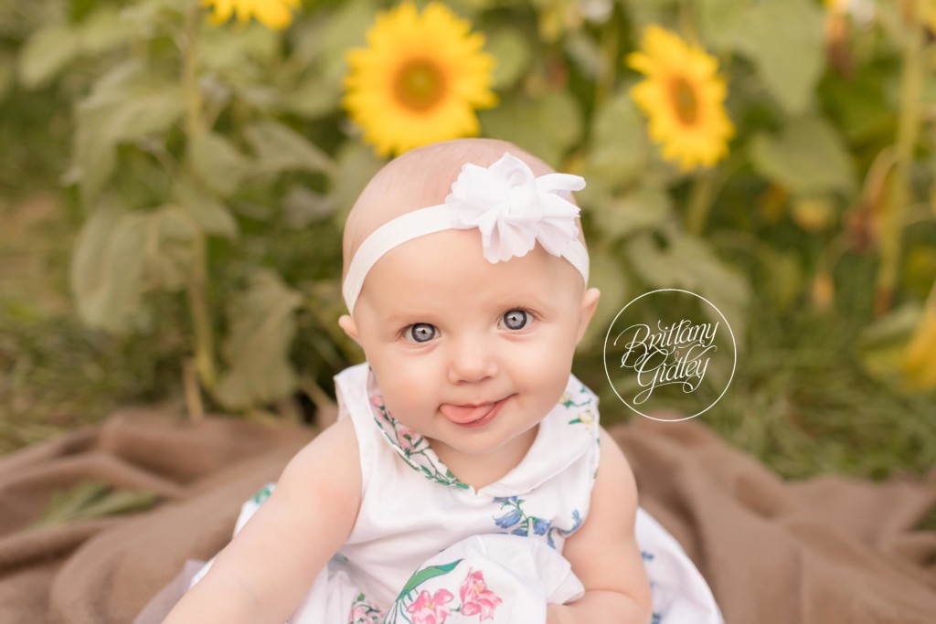 Avon Baby Photographer | Prayers From Maria Sunflower Field | CHD Awareness