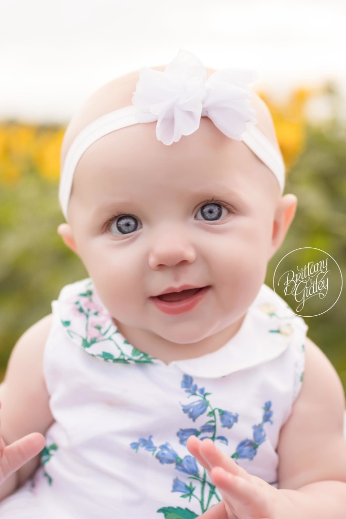Avon Baby Photographer | Prayers From Maria Sunflower Field | CHD Awareness