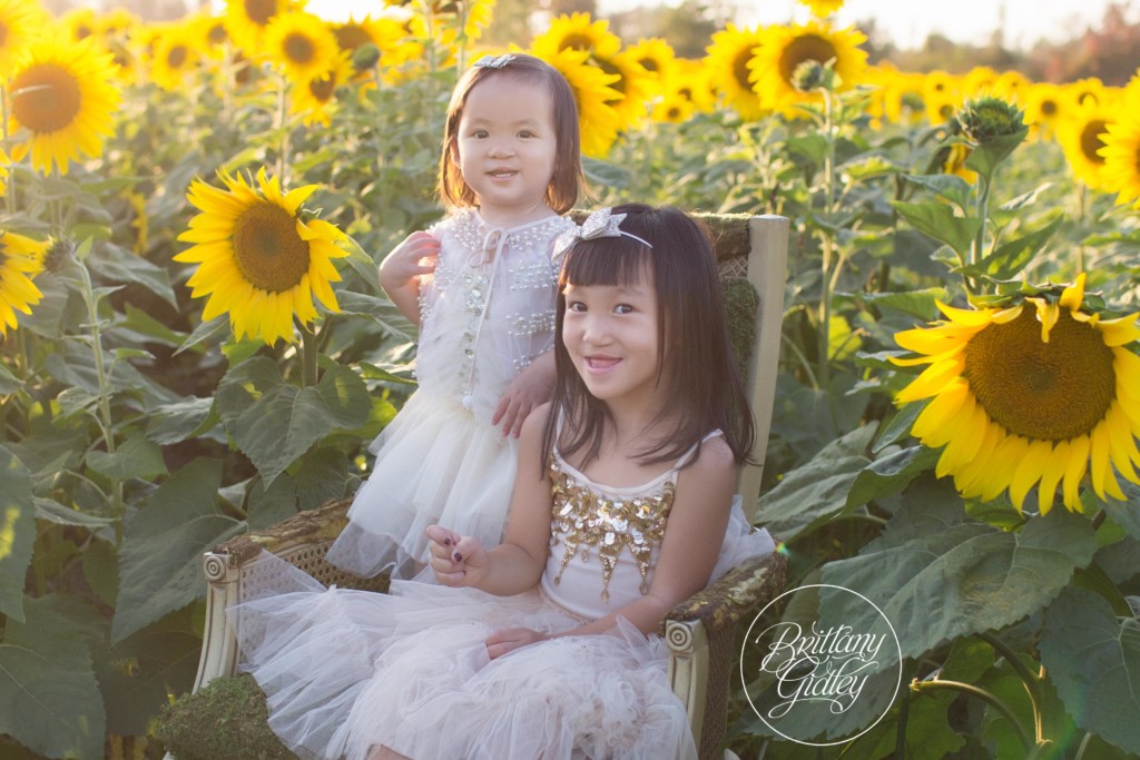 Bay Village Family Photographer | Prayers From Maria Sunflower Field | Sunflower Field Avon Ohio | Whimsical Child Photography